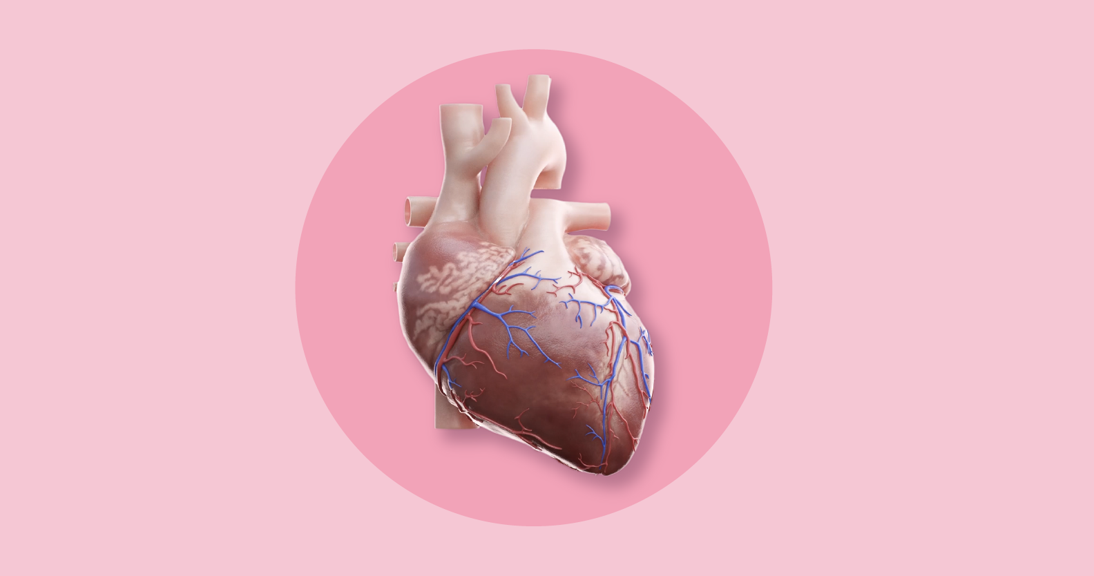 Should I be worried about ischaemic heart disease?