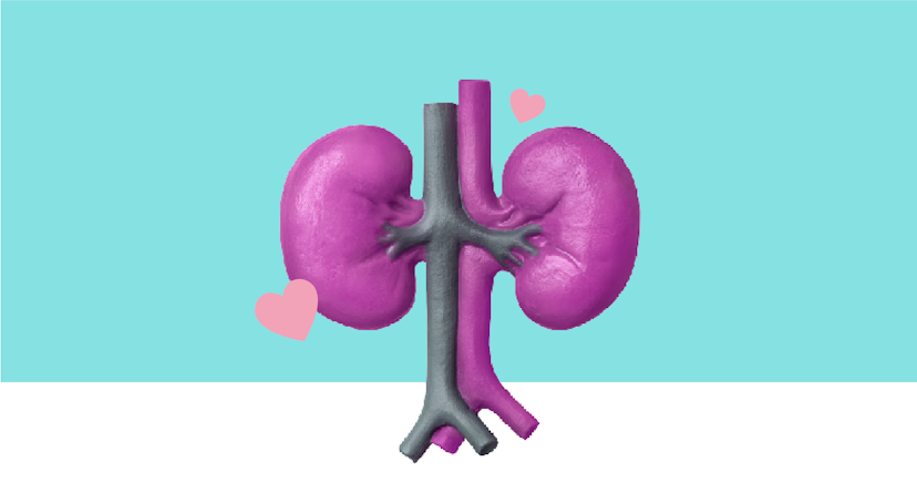 Five questions you hadn’t thought to ask about your kidneys