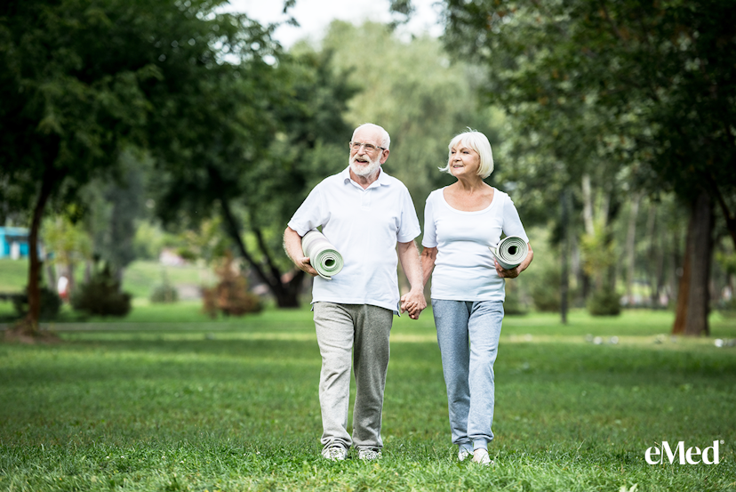 Prevent Falls & Boost Independence: Physiotherapy for Seniors